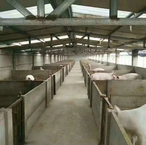 Concrete wall panel machine for fence wall/precast hollow core wall panel machine machine panel concrete