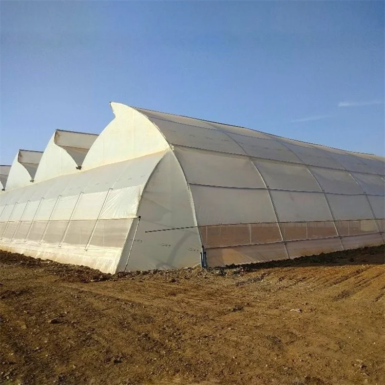 Top ventilation plastic film tropical corps planting agriculture shade net multi-span greenhouse
