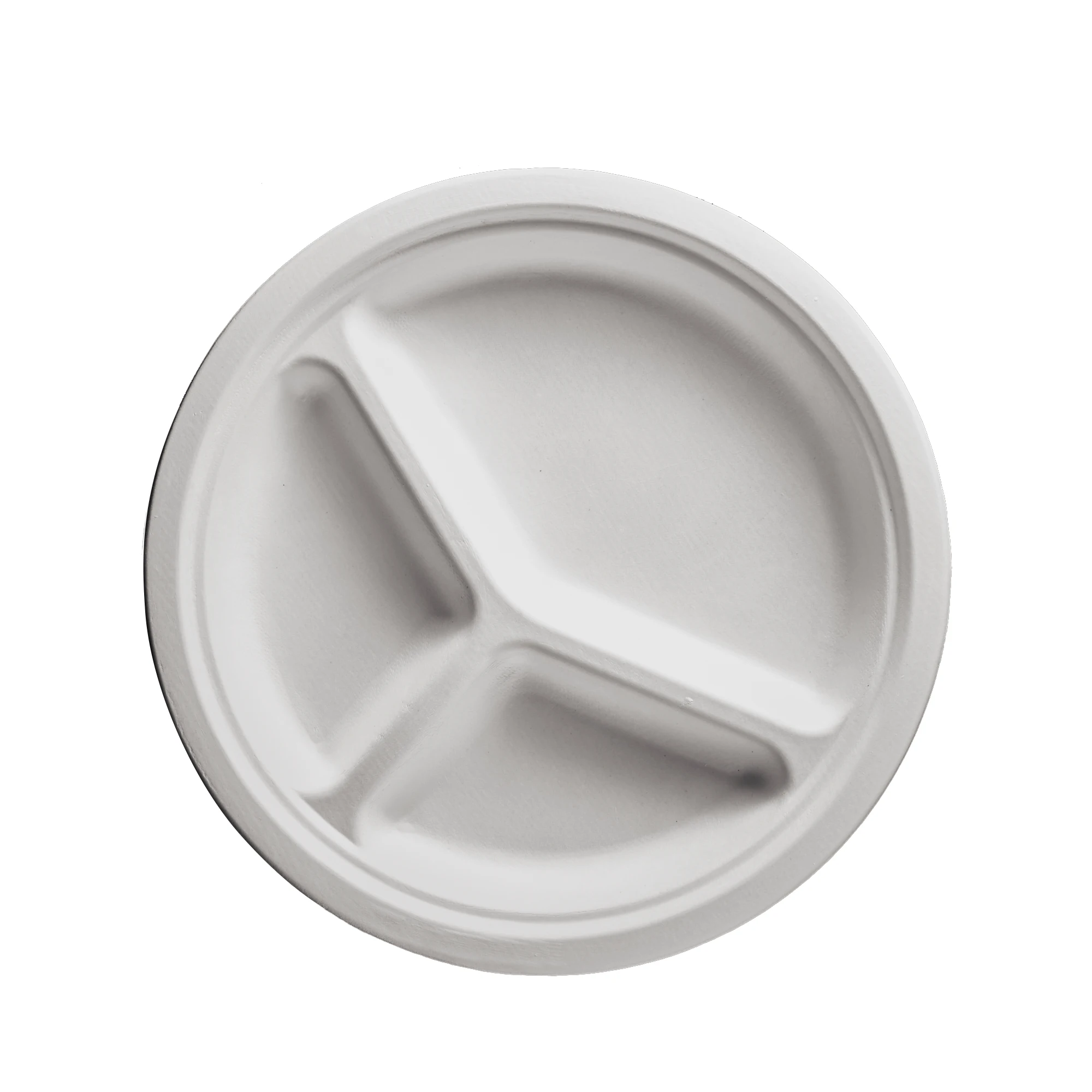 Fantastic quality popular  Durable Disposable Eco-Friendly Food Custom Dinner Divided Plate Dish