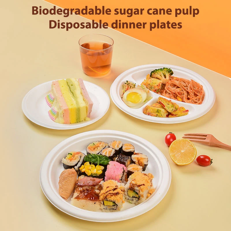 Disposable bagasse bowl take-out sugarcane packaging box degradable bagasse food container outdoor barbecue bowl Plate