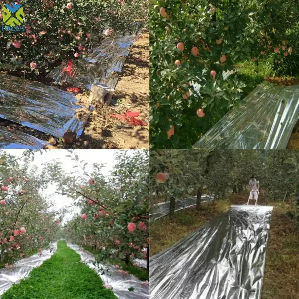 Fruit vegetables PE fIlms Agricultural transparent 25Mic transparency film roll