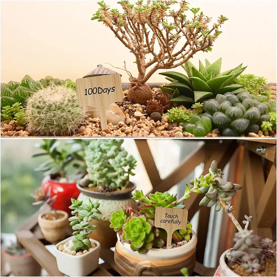 T-Shape Wood Sign Tags Tools Garden Supplies Bamboo Plant Labels For Nursery Pots Seeding Bonsai Potted Herbs Flowers