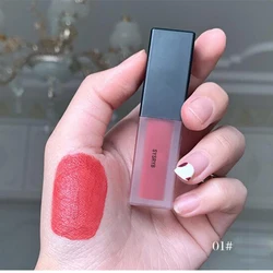 Best Selling Velvet Lip Glaze 17 Color Waterproof Matte Liquid Lipstick