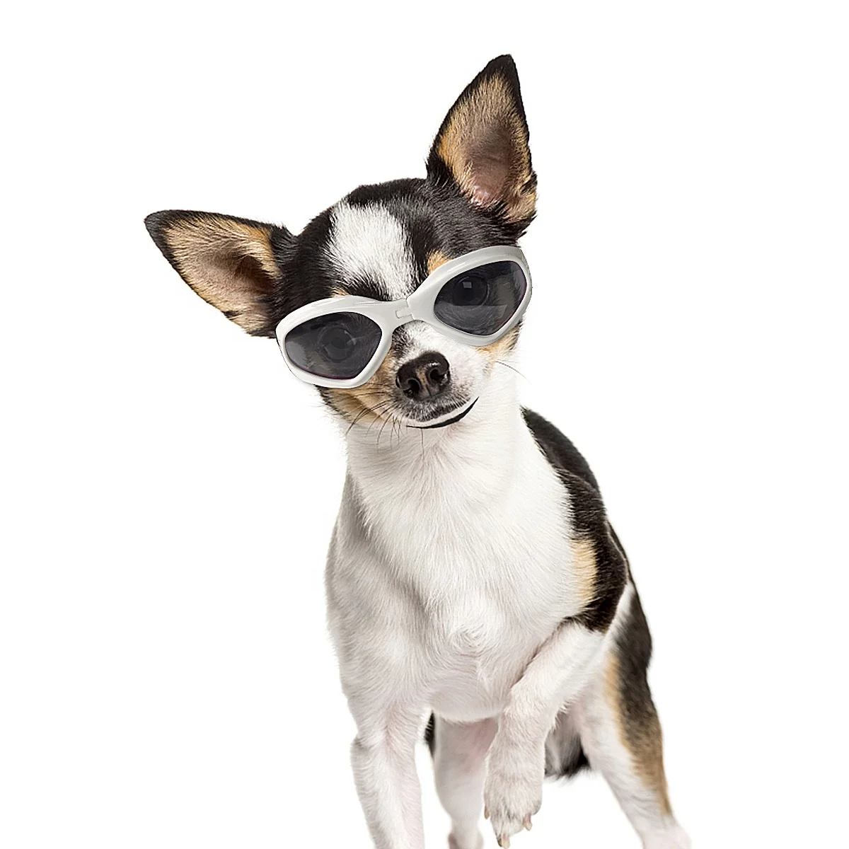 Dog Waterproof Sunglasses Goggles Unfoldable Glasses for Pet