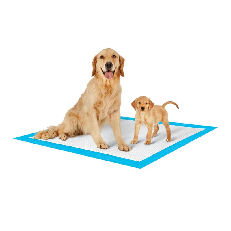 pet training pad