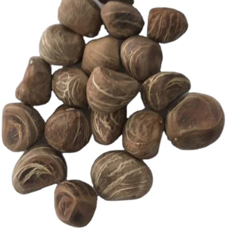 100 шт. Китай Обложка отвар Завод деньги дерево Семена