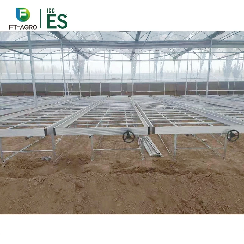 Сельскохозяйственная гидропонная система выращивания томатов, выращивание водосточных желобов