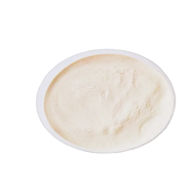 Cheap Price China Oyster Collagen Manufacturer Distributor Halal Peptide Powder