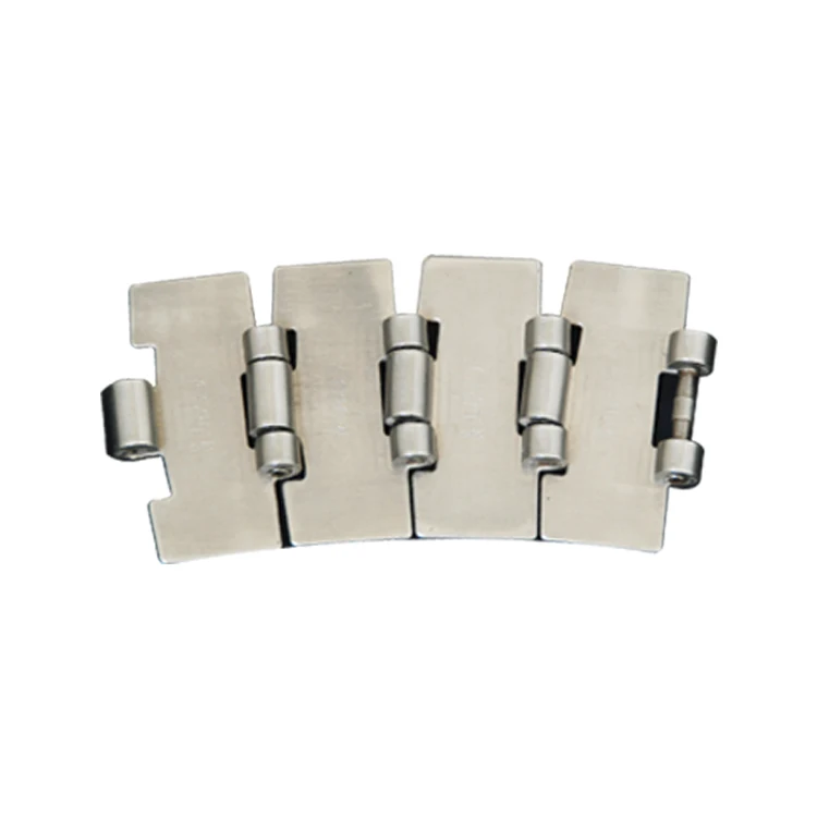 Heavy Duty SS881M Side Flexing Chains Factory Direct Wholesale Excellent Quality At Competitive Price With Customized Design