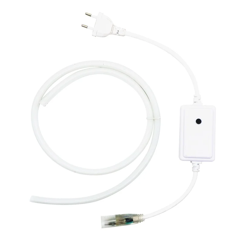 
220V 110V 12V RGB LED Neon Strip Light 5050 80 Leds/M Flexible Ribbon Waterproof Decoration Rope Lamp 