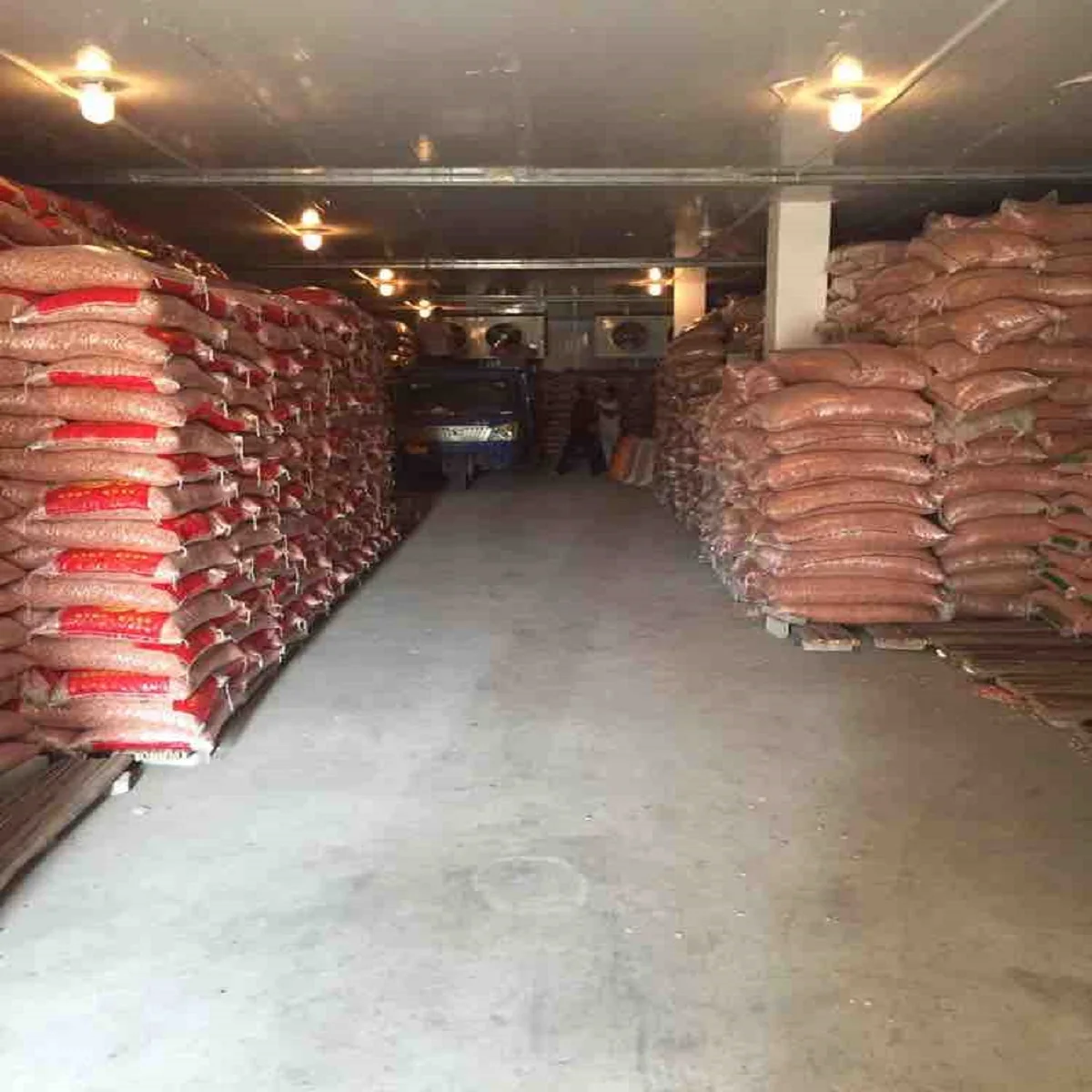 High Quality 100% Natural Peanuts without Shell Superior Product Category