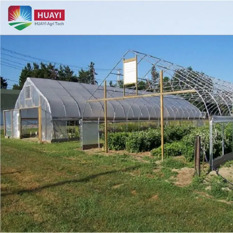 Hot Galvanized Steel Frame Agricultural Single Span PE/PO Film Plastic Tunnel Greenhouse For Tomato Vegetables Growing
