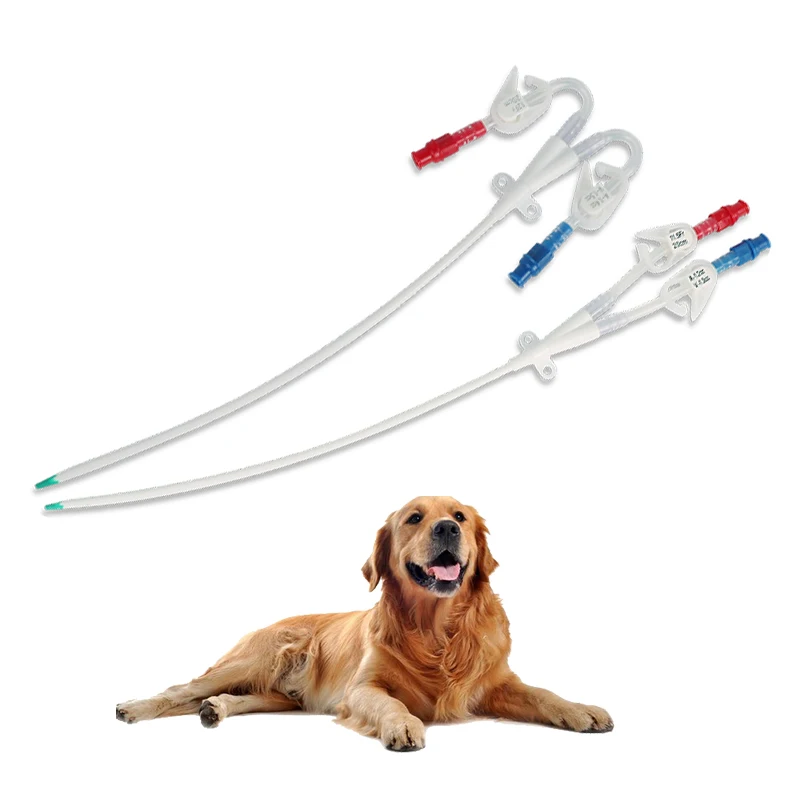 Double Lumen Catheter Kit for Veterinary Hemodialysis Hot Sale Triple Lumen Dialysis Catheter Reliable Medical Temporary