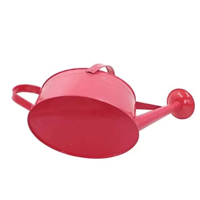 Wholesale oval shape galvanized watering can garden watering pot
