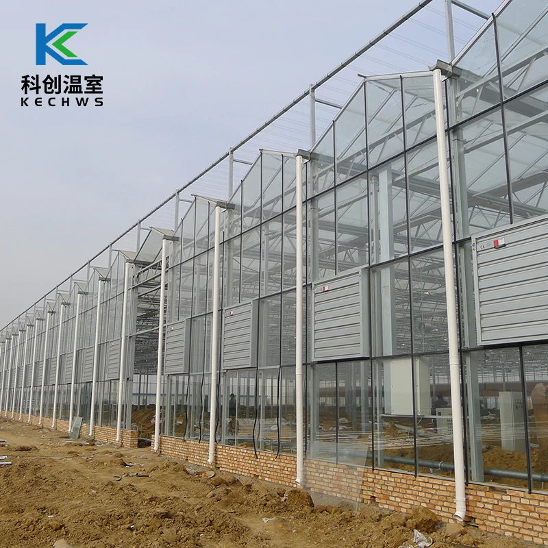 
Hot Selling Manufacturer In China Multi Span Greenhouse Large Size Commercial Greenhouse Glass For Vegetables 