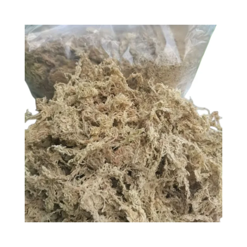 High Quality EnviroNmental Long Fiber Peat Moss Premium Orchid Moss Natural Sphagnum Moss For Reptile Plants