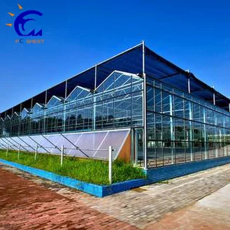 Коммерческая сельскохозяйственная теплица из поликарбоната по низкой цене