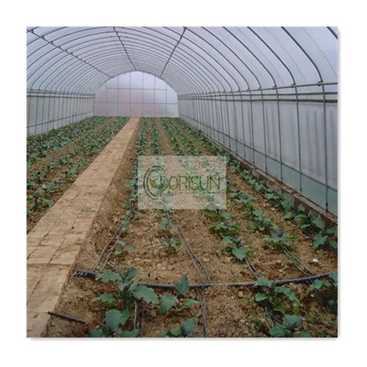 Dorisun Modern Complete 100 Square Meters Tall Large Tomato Farming Smart Greenhouse Equipment For Plants