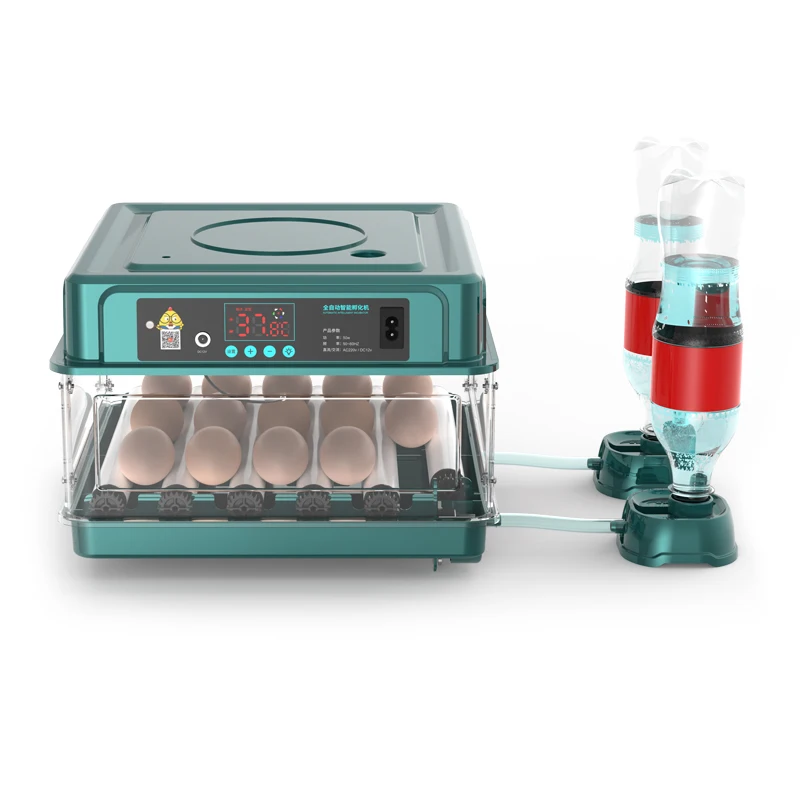 2022 new arrival chicken egg hatching machine incubator 15 capacity dual power supply