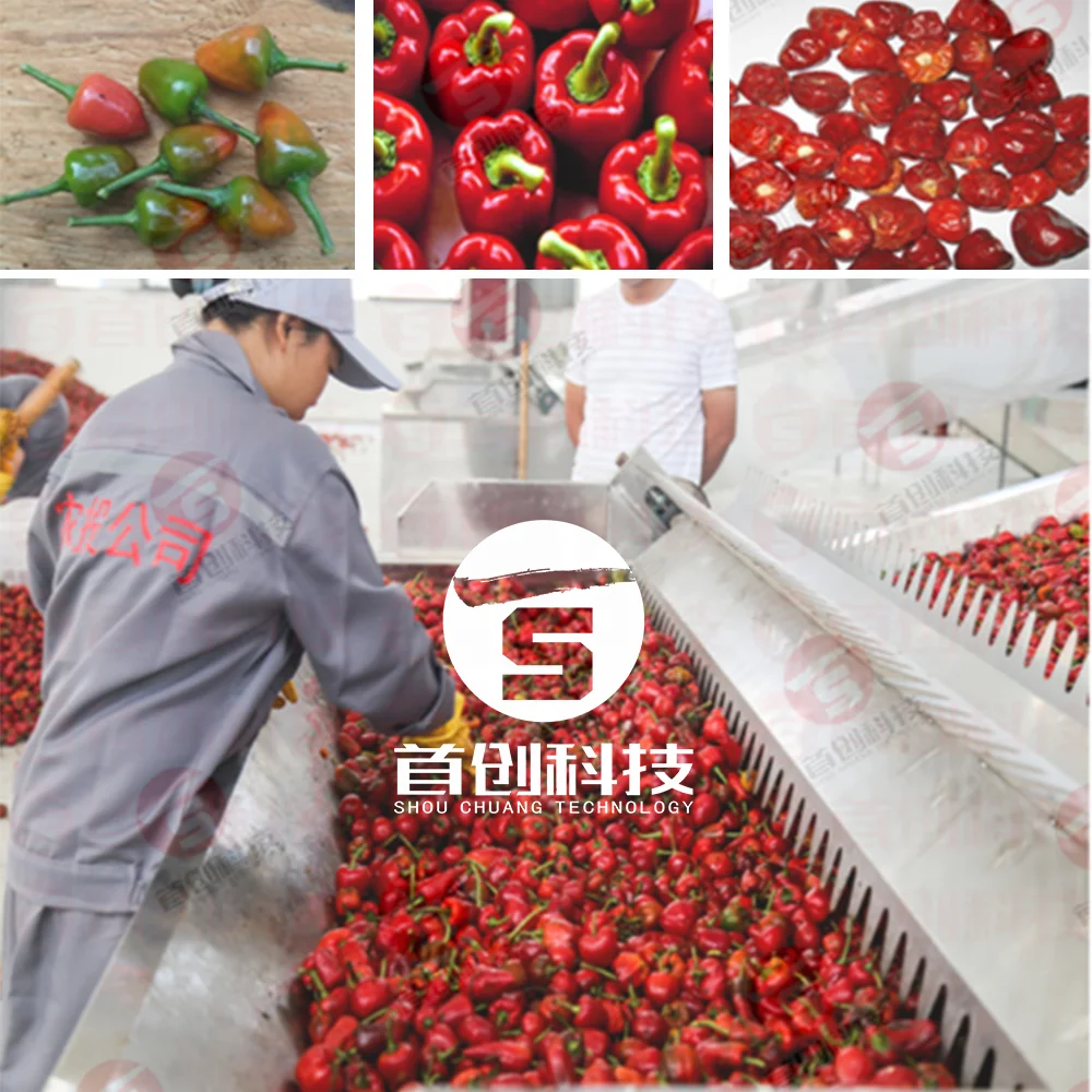 Pimiento dried chillies red paprika cayenne hot pepper drying dryer machine