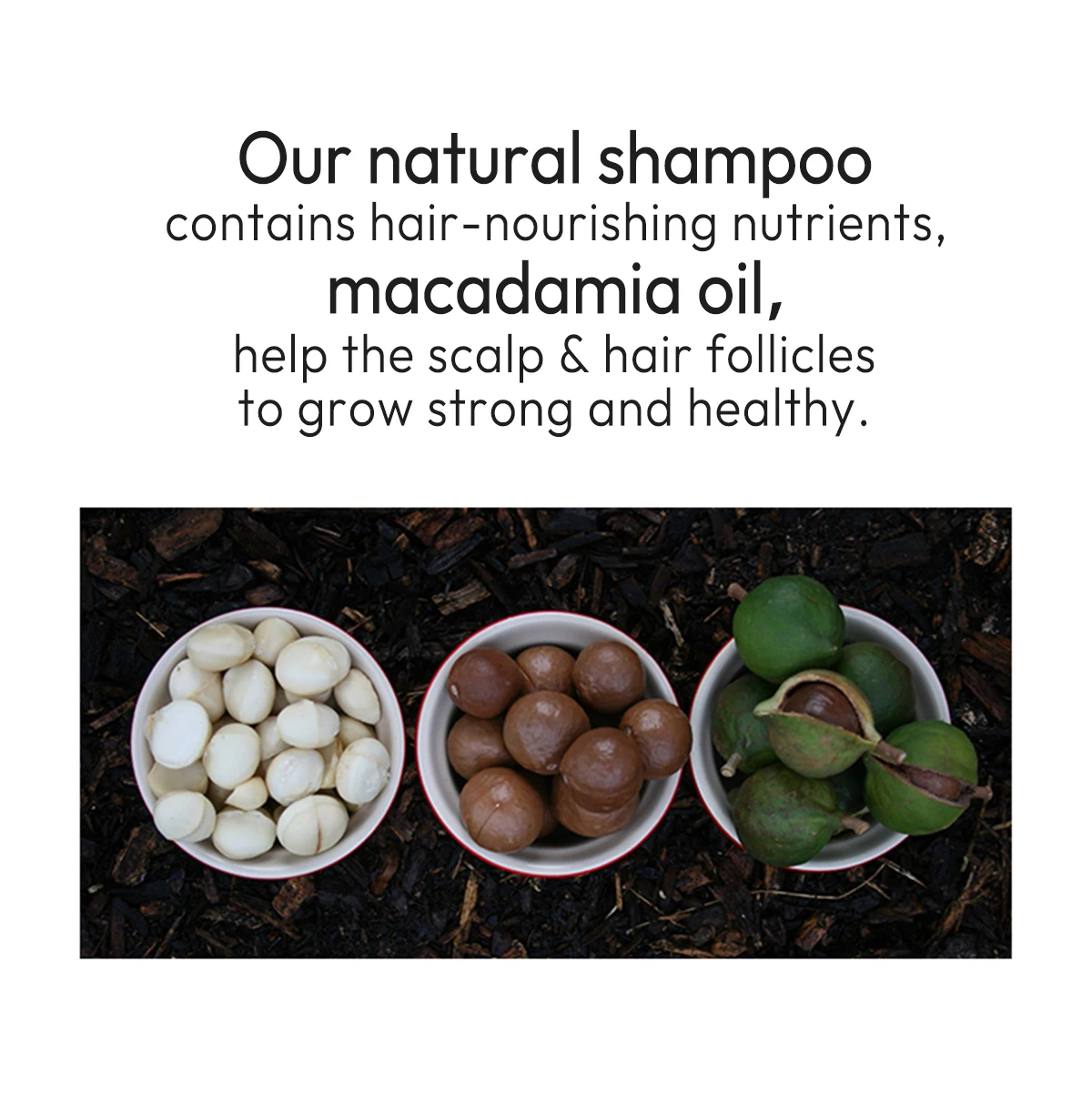 Low MOQ Sulfate Free Nourishing Anti-Frizz Shampoo Macadamia Oil Shampoo