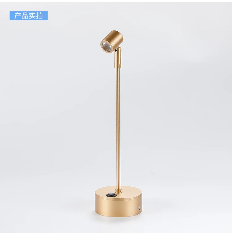 LED rechargeable spotlight lamp1W high pole