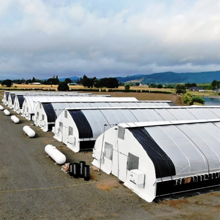  Mini tunnel greenhouse singlespan film commercial green house black out light deprivation