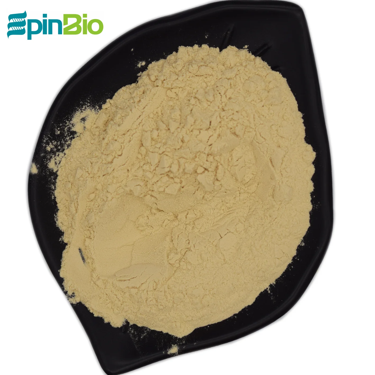 Food grade  high protein 50% nutritional Brewers Yeast powder