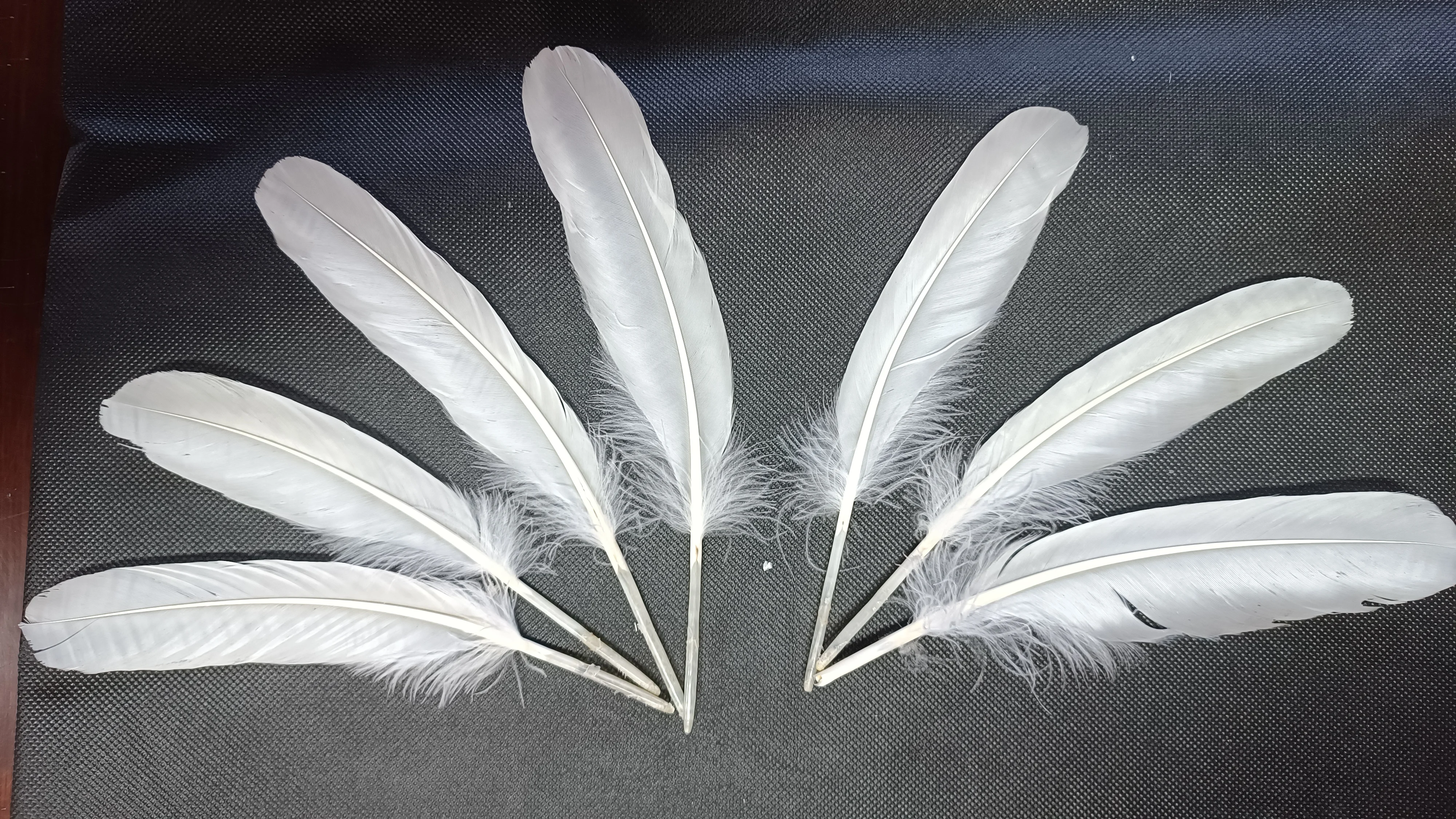 Authentic washed left and right side parted loose goose feathers