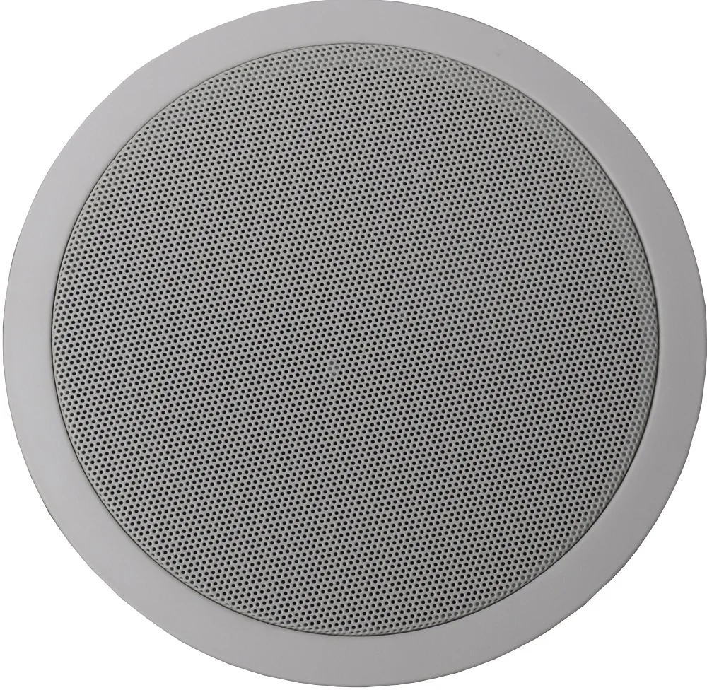 HSR109-8T 100V 15W 8 Inch Full Range Speaker