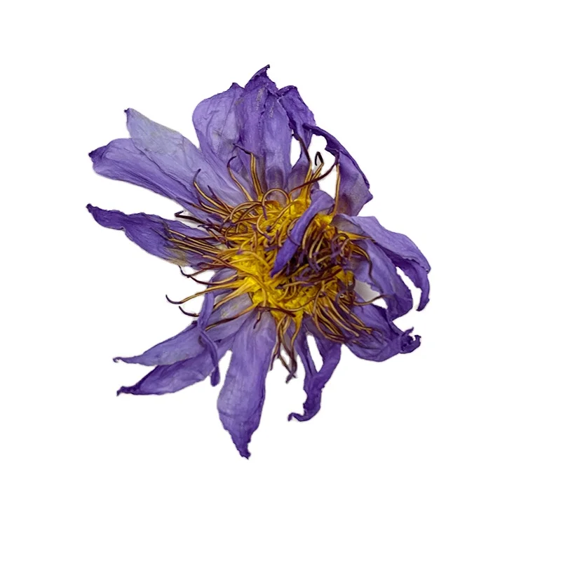 21 горячая Распродажа, цветочный чай, высушенный синий цветок лотоса, чай, синяя водяная Лилия, бунга, тератай БИРУ, тех Янь, Яо, Шуй, Лянь, высушенный синий Лотос