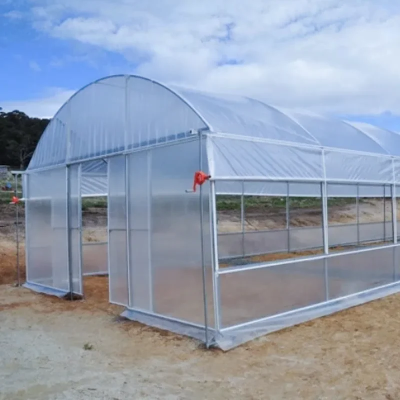 20 футов Солнечная теплица с УФ-стойким полиэтиленовым материалом металлический каркас для растений томатной клубники в сельскохозяйственных