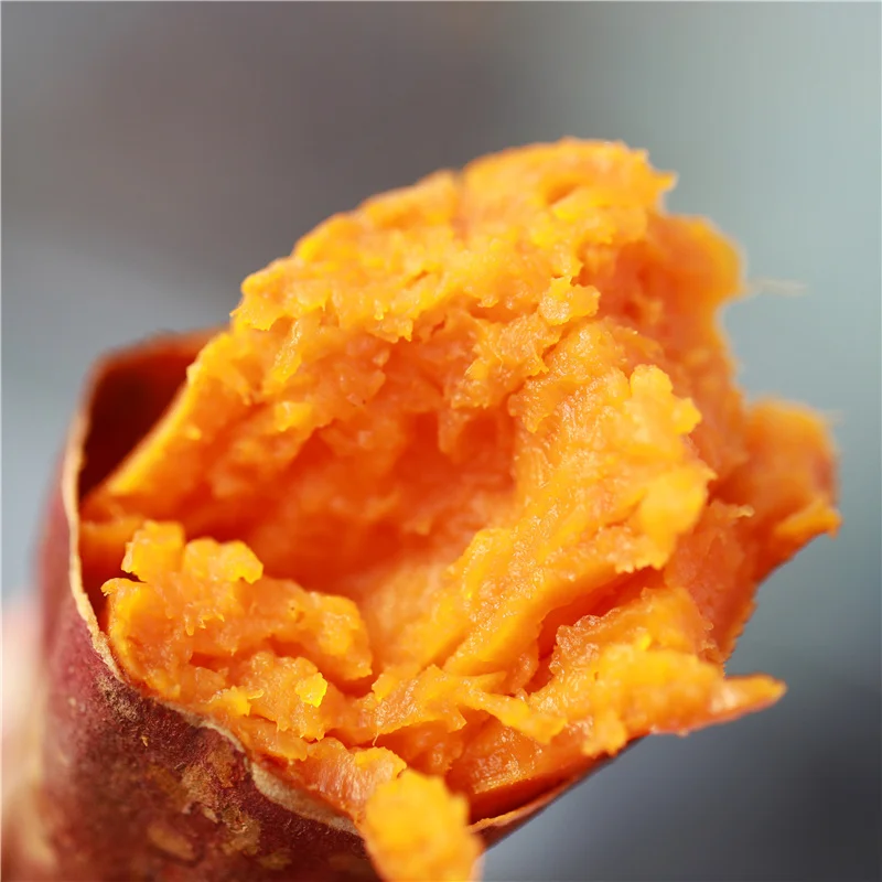 Foods that are good for the body Yunxi sweet potatoes large quantities sell low-priced sweet potatoes