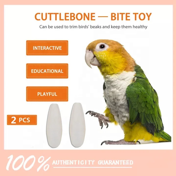 Chewing Cuttlefish Bone for Sharp Beaks Bird Cuttlebone for Parakeets 10-18cm Natural Cuddle Bone