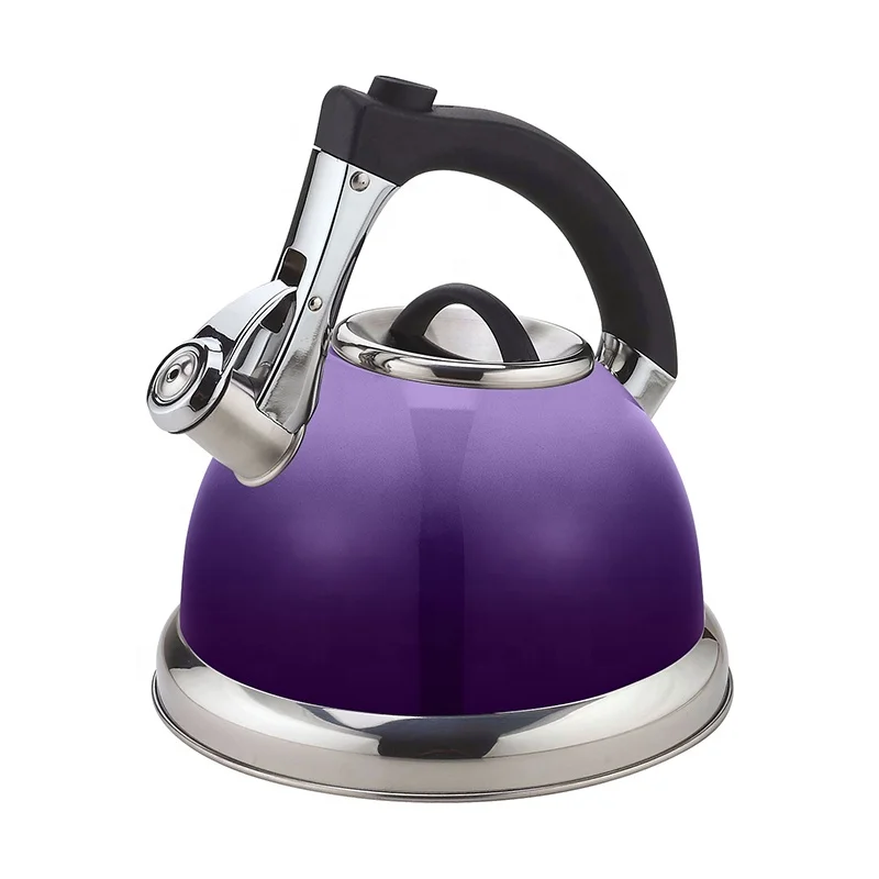 Factory Manufacture High Quality 3.0L Painting Stainless Steel Stove Top Kettle