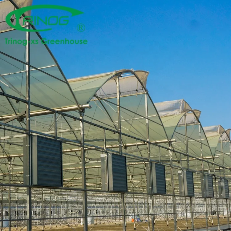 Trinog Greenhouse high tunnel Commercial used tropical agricultural green house manufacturer for seedling