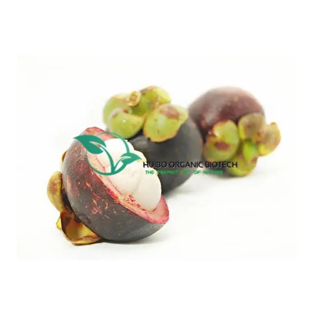 instant sugarcane powder / sugar cane powder for drink