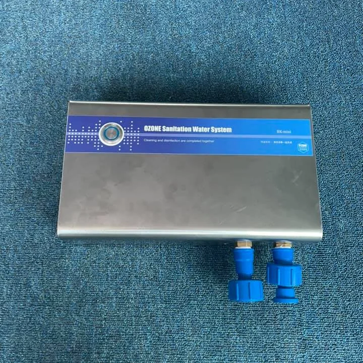 2g/h ozone generator ozone water purifier for kitchen washing machine laundry washer fruit washing system