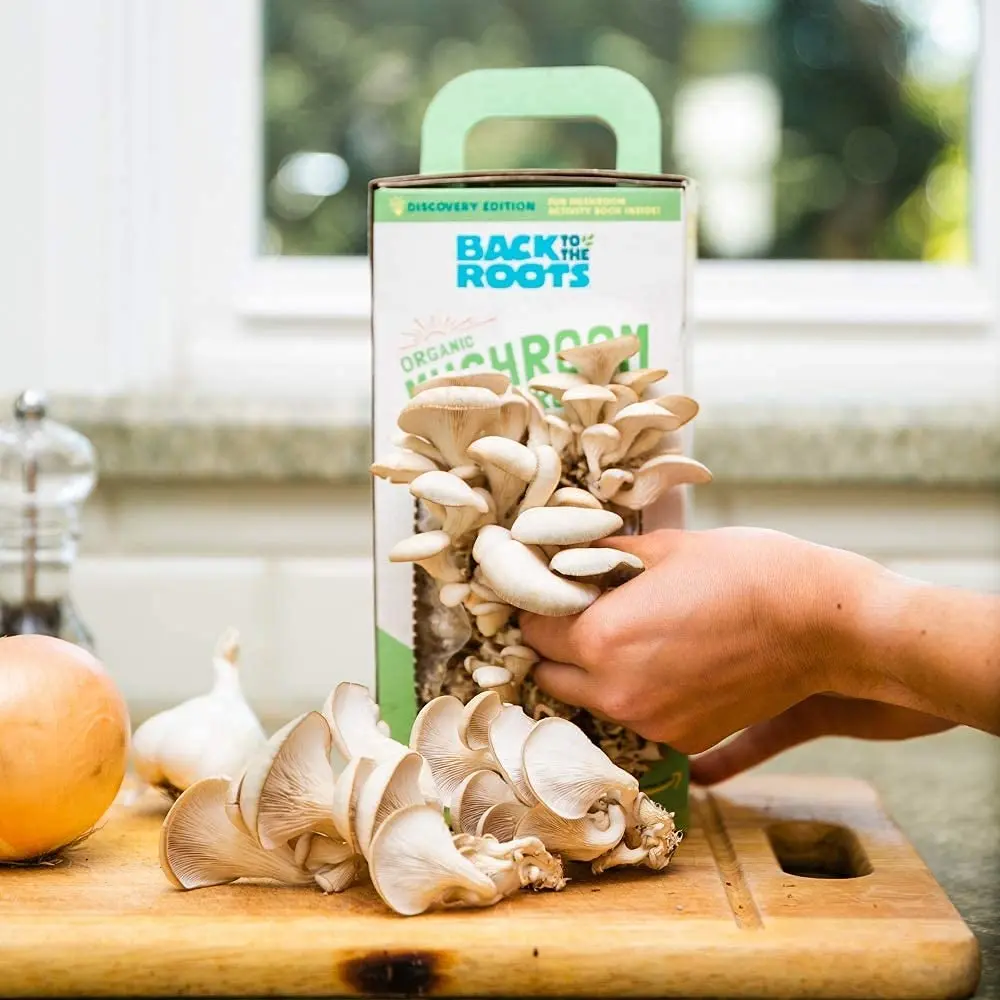 Back to Roots Organic Oyster Mushroom Grow Kit Fresh Plant Grower Kit Plant Growing Kit