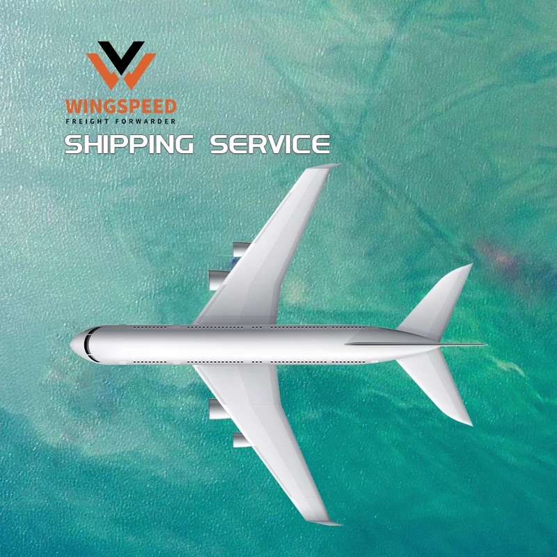 Consolidation Shipping Service Amazon to door Delivery Fba shipping From China to France/Italy/Spain