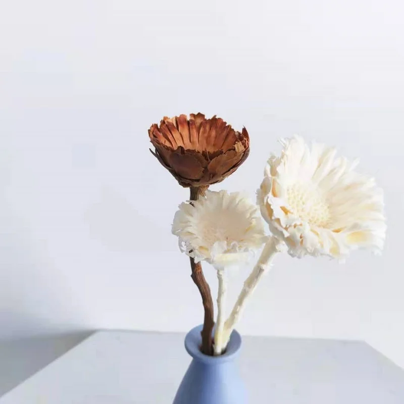 Wholesale decorative flower dried African sunflower for wedding and Christmas decoration