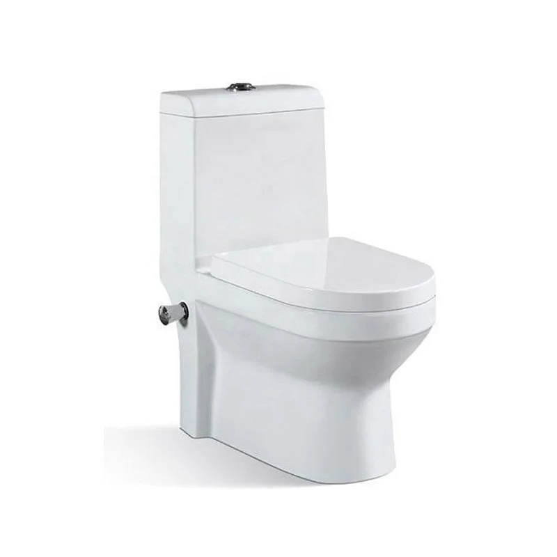 
Washdown One piece bidet toilet for middle market 
