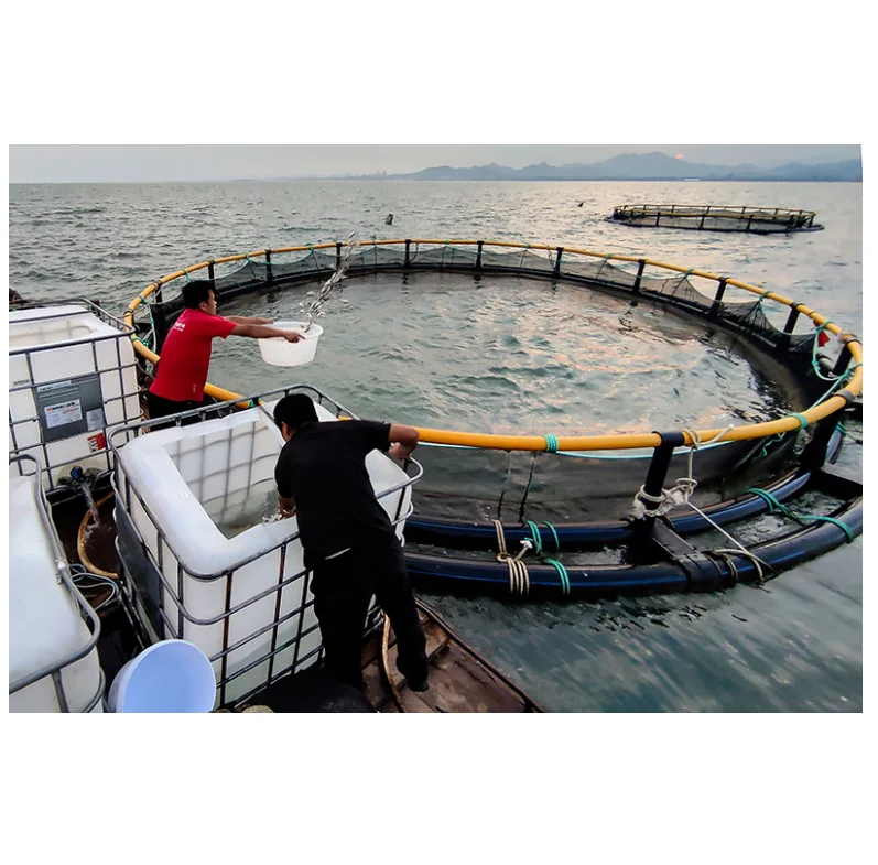 Hdpe Material Deep Sea Fish Net Farming Cage For Tilapia commercial fish traps