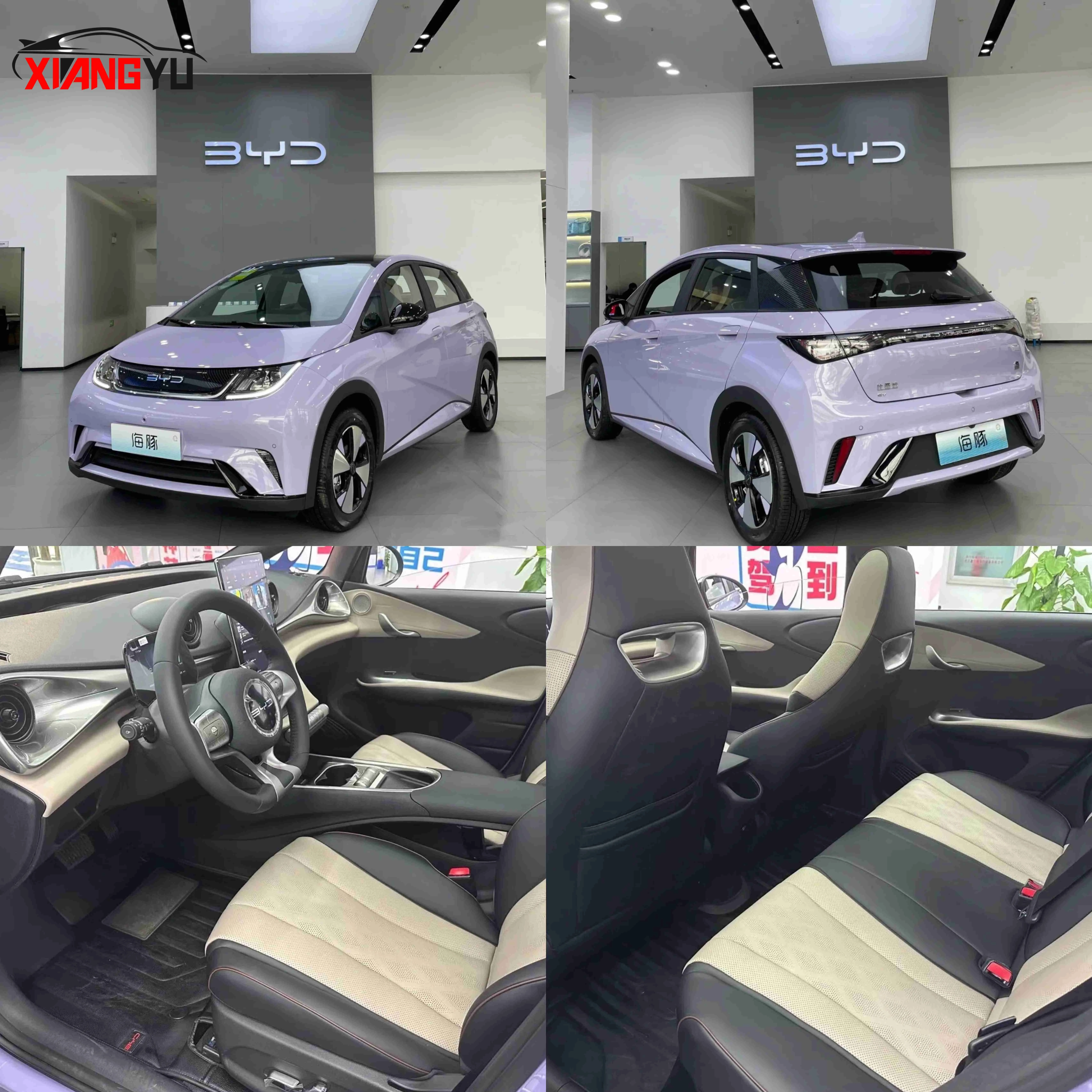 Модель автомобиля Byd Dolphin 2023 Haitun 420 км Бесплатная версия Бутон Дельфин с батареей