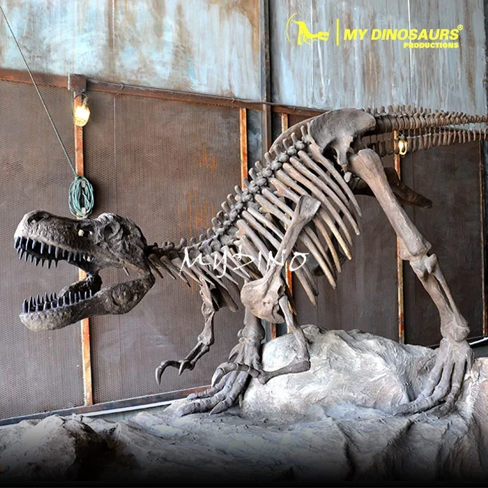 My Dino Life Size Dinosaur T-rex Skeleton for Shopping Mall