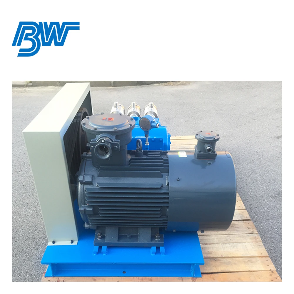 LNG High Pressure Cryogenic Liquid CNG Pump