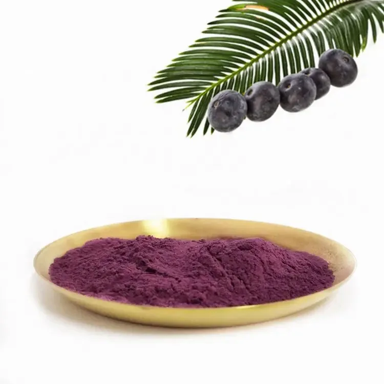 Wholesale Pure Freeze-Dried Acai Berry Powder Natural Fruit Extract with High Protein Content 1kg Minimum Order