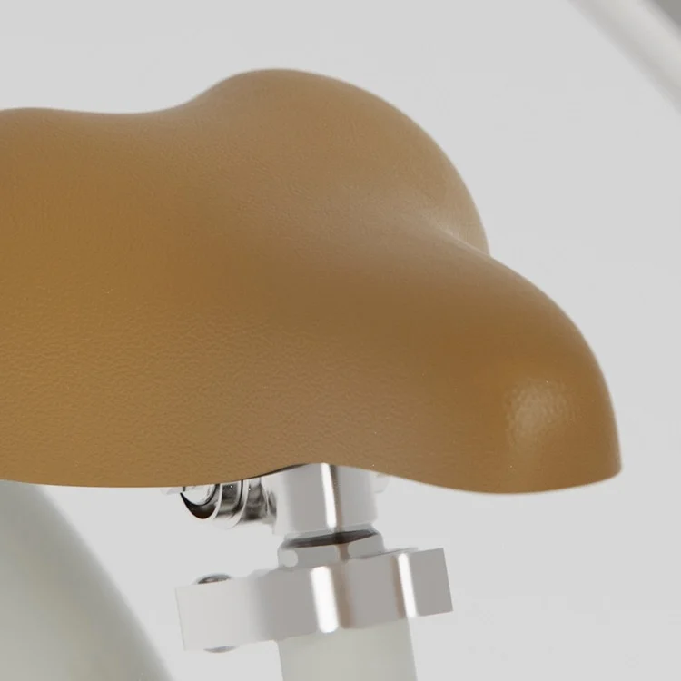 Cute Style Balanced Bicycles Carbon Fibre Bikes with Training Wheel for Kids