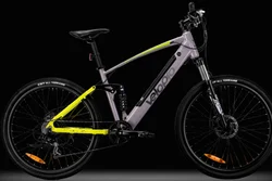 750w Double lithium battery adult ebike electric cargo bike delivery e-bike family bike