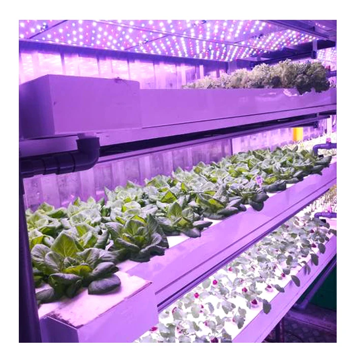 Вертикальный гидропонный контейнер Microgreens для фермы/Теплицы